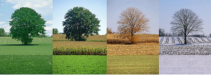 《蜀汉再临：源起》Steam特别好评 性价比很高